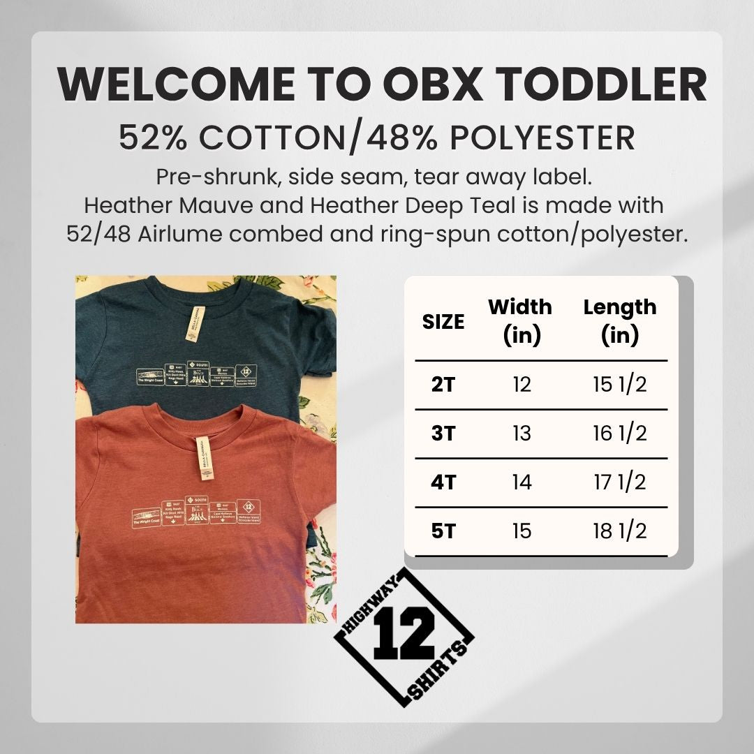 Two t-shirts, one blue and one red, with a size chart and 'Highway 12 Shirts' branding on a gray background.